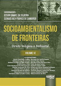 Livro Socioambientalismo de Fronteiras - Vol. Vi - Direito Indigena e Ambiental - Silveira/camargo (co