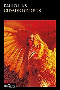 Livro Cidade de Deus  Lins