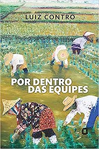 Livro Por Dentro das Equipes - Contro
