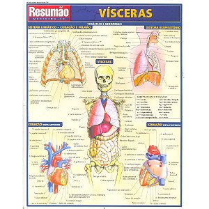 Livro Visceras - Colecao Resumao - Varios Autores