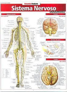 Livro Sistema Nervoso Avancado - Barros, Fischer e as