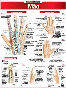 Livro Resumão Medicina Mão