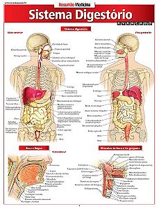 Livro Sistema Digestorio Avancado - Perez