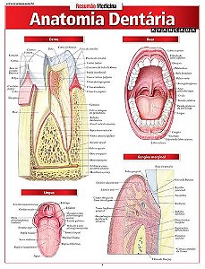 Livro Resumao Medicina - Anatomia Dentária Avançada - Perez