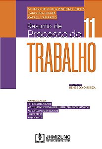 Livro Resumo de Processo do Trabalho - Rocha - Mizuno