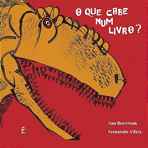 O Que Cabe Num Livro - Ilan Brenman - Panda Books