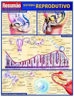 Livro Sistema Reprodutivo Resumao - Barros