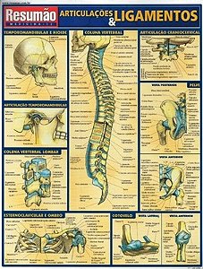Livro Articulações & Ligamentos Resumão - Barros