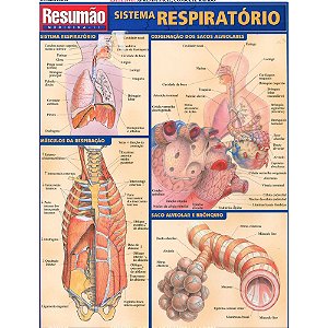 Livro Sistema Respiratorio Resumao - Barros