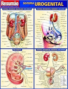 Livro Sistema Urogenital Resumao - Barros