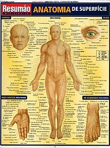 Livro Resumão Anatomia de Superficie