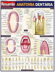 Livro Anatomia Dentaria Resumao - Fischer
