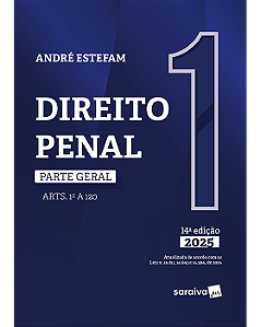 Livro Direito Penal Parte Geral: Arts. 1º a 120 Vol.1 Estefam