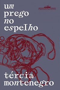 Livro Um prego no Espelho