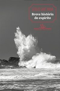 Livro Breve História Do Espírito
