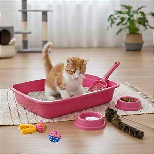 Kit Completo Gato Caixa Areia Comedouro Bebedouro Brinquedo - Murano