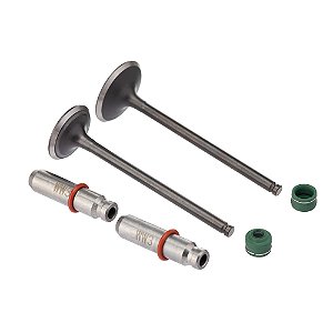 Valvula Guia E Retentor Kit (6pcs) Ww3 Cg 160 16/ Reten. Verde