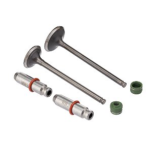Valvula Guia E Retentor Kit (6pcs) Ww3 Cg 125 09/18 Reten. Verde