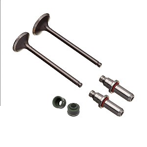 Valvula Guia E Retentor Kit (6pcs) Ww3 Cbx 200