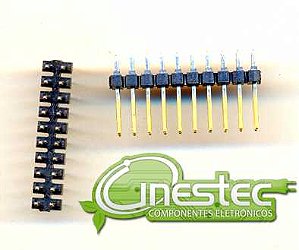 BARRA 10X2 PINOS TERMINAIS DUPLA GOLD 180 graus