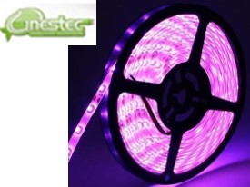 FITA DE LED / STRIP LED 5050 ROSA IP65 O METRO (60 LEDS)