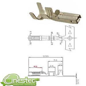 TERMINAL PARA MODU FEMEA - KIT COM 10PCS - 254200TC051