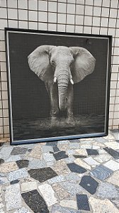 Quadro Decorativo Elefante em Preto e Branco