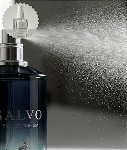 Decant Perfume Salvo Eau de Parfum - Ref. Olfativa Dior Sauvage