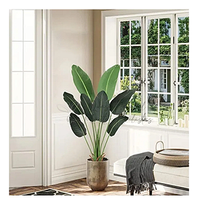 Bananeira Viajante Decoração Interna Premium 1.20m
