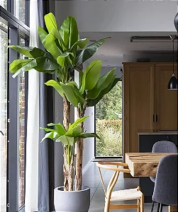 Bananeira Artificial Grande Planta Decorativa 1.80 Metros