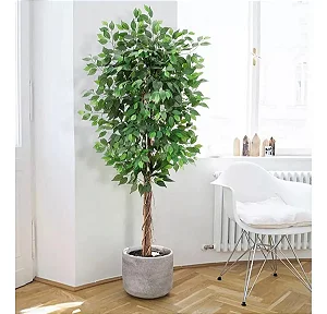 Árvore Artificial Para Sala Planta Ficus Lyrata Com 180cm