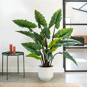 Planta Artificial Taro Orelha Elefante Decoração Sala 1.20m