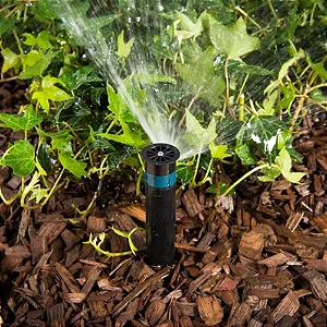 Bocal Faixa Hunter 10 unidades