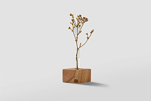 Vaso Solitário Canoa