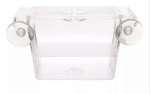 Criadeira de acrilico mini SKRW CR07