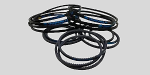 CORREIA MODELO B B54