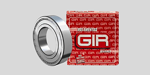 ROLAMENTO GIR 32004
