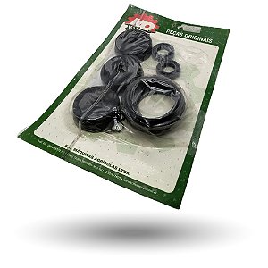 Kit Reparo Bomba KO 3PV 200