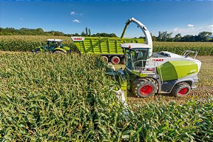 CLAAS Jaguar Colheitadeira