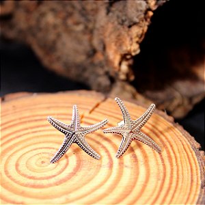 Brinco Iat em Aço Inox