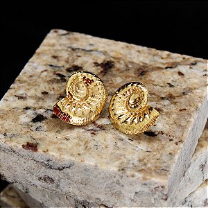 Brinco Niamh em Aço Inox Dourado