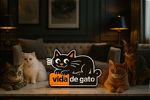 Luminária Vida de Gato