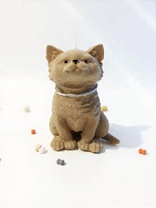 Velas Amigo 4 patas - Gato