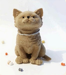 Vela Gato - 100 g