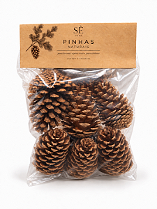 Pinhas Naturais Decorativas — Kit com 6 Unidades | SÊ Home