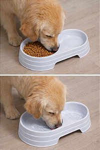 Pote de Alimentação Pets - Bebedouro / Comedouro