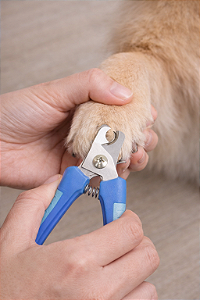 Alicate de Unhas - Pets