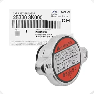 Tampa Radiador/ Reservatorio Agua Hb20 1.6/1.0 Original - 253303k000