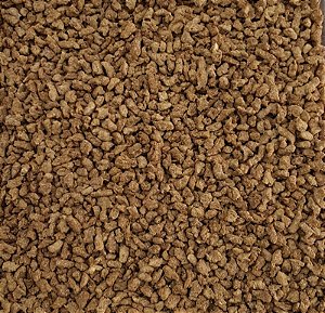 PROTEINA DE SOJA CARNE 100G