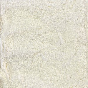 LEITE EM PO DESNATADO 100G